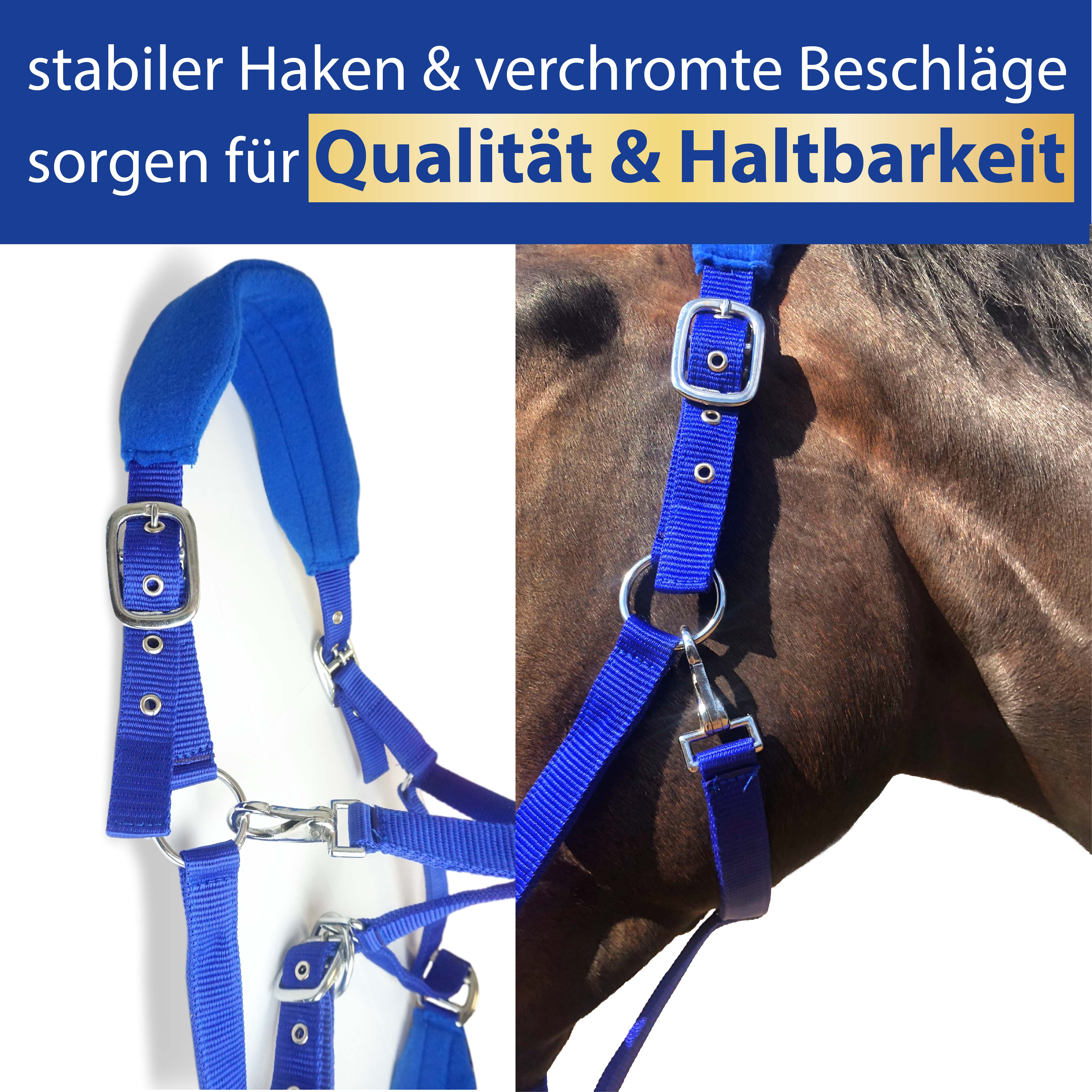 Halfter für Pferde mit Fleece